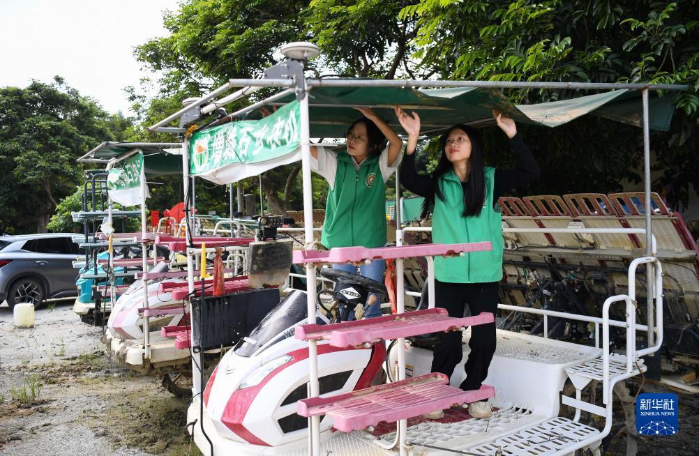广东麻将推倒胡电脑版
